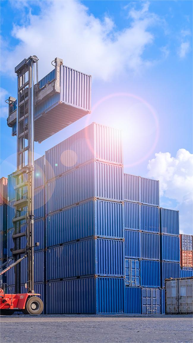 Professional logistics team managing container shipments