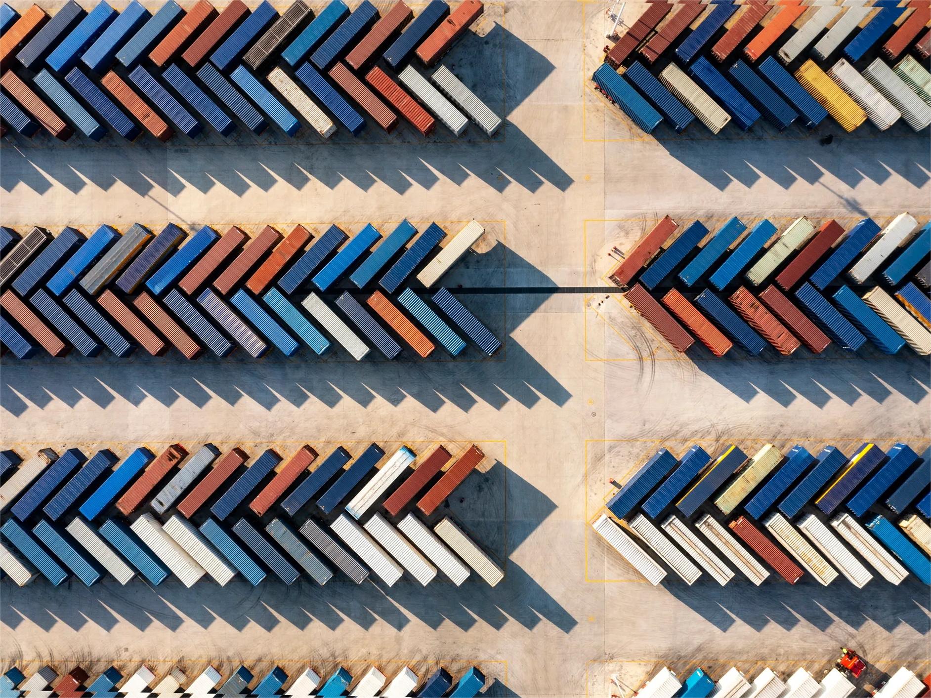 Professional logistics team managing wholesale shipping operations